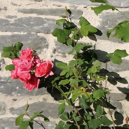 Hebergement Independant Centre Bourg Nozay  외부 사진